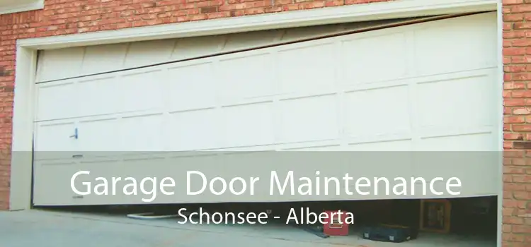 Garage Door Maintenance Schonsee - Alberta