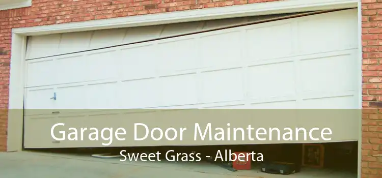 Garage Door Maintenance Sweet Grass - Alberta