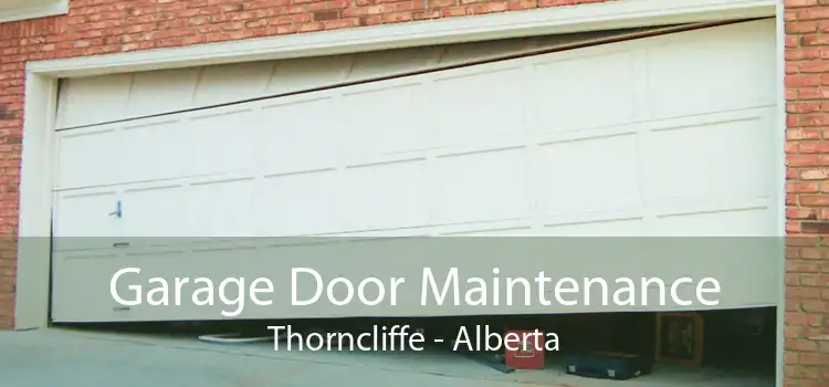 Garage Door Maintenance Thorncliffe - Alberta