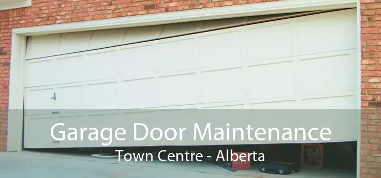 Garage Door Maintenance Town Centre - Alberta