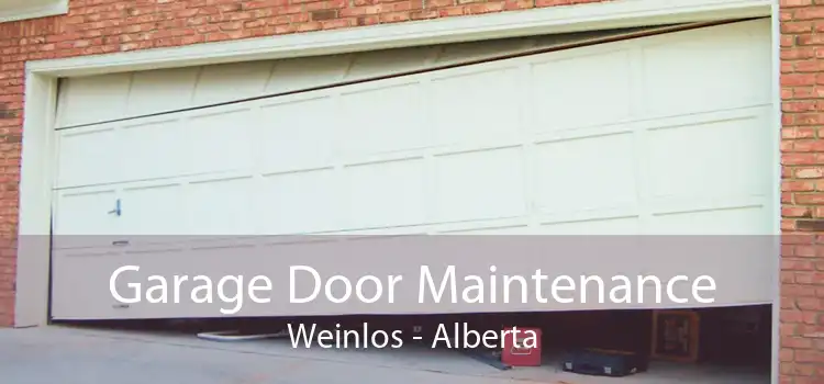 Garage Door Maintenance Weinlos - Alberta