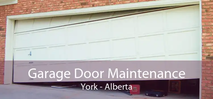 Garage Door Maintenance York - Alberta
