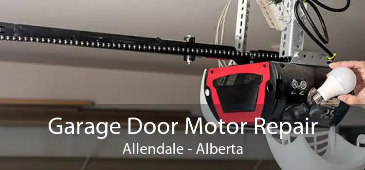 Garage Door Motor Repair Allendale - Alberta