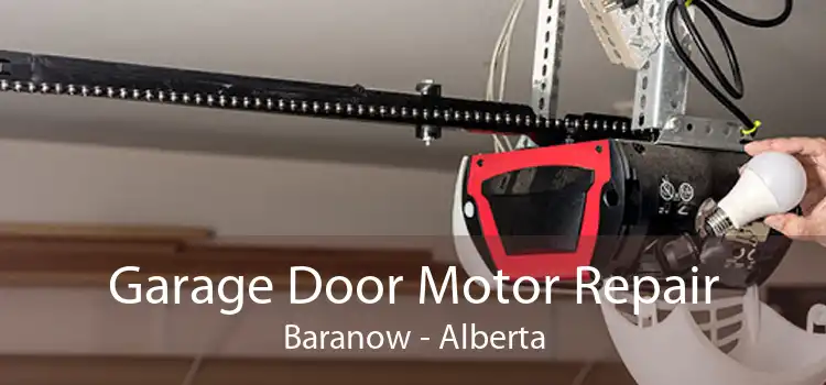 Garage Door Motor Repair Baranow - Alberta