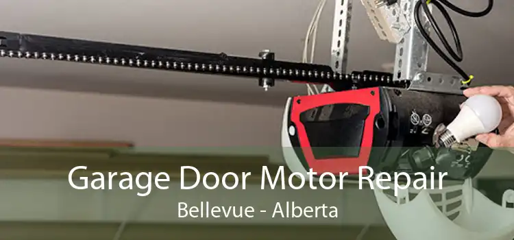 Garage Door Motor Repair Bellevue - Alberta