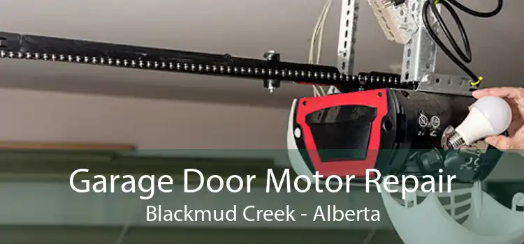 Garage Door Motor Repair Blackmud Creek - Alberta