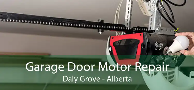 Garage Door Motor Repair Daly Grove - Alberta