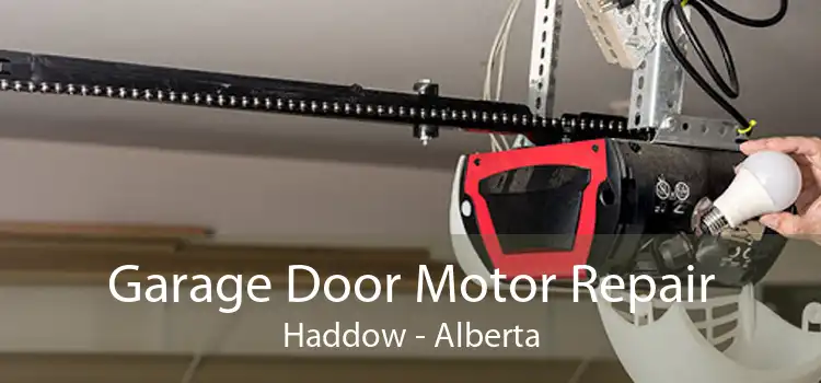 Garage Door Motor Repair Haddow - Alberta