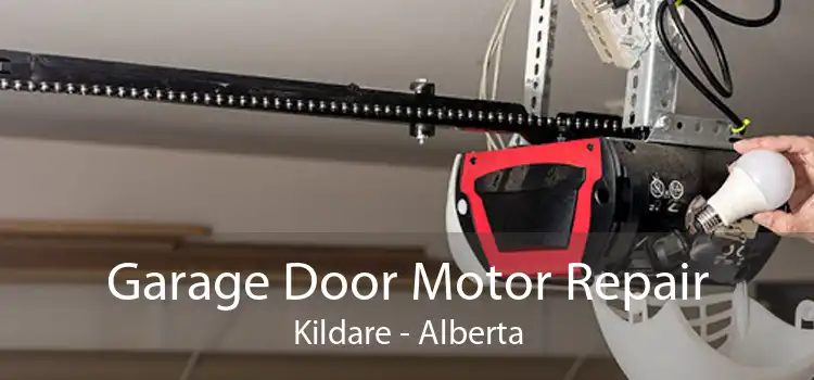Garage Door Motor Repair Kildare - Alberta