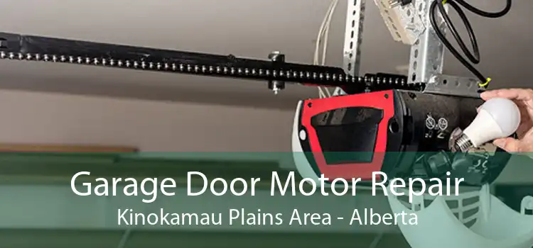 Garage Door Motor Repair Kinokamau Plains Area - Alberta