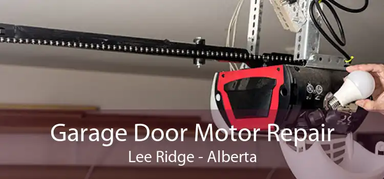 Garage Door Motor Repair Lee Ridge - Alberta