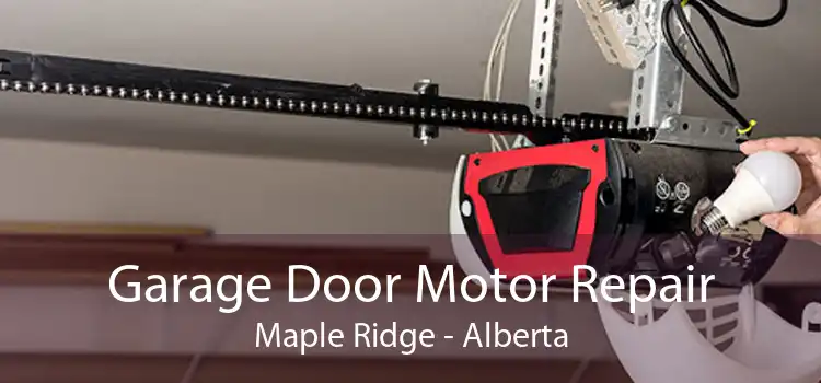 Garage Door Motor Repair Maple Ridge - Alberta