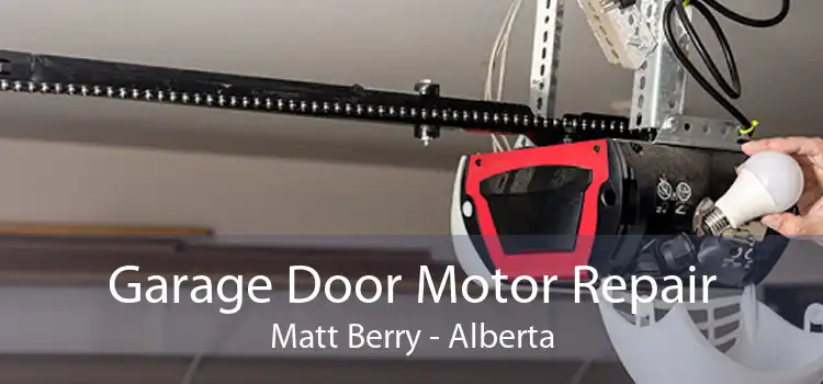 Garage Door Motor Repair Matt Berry - Alberta