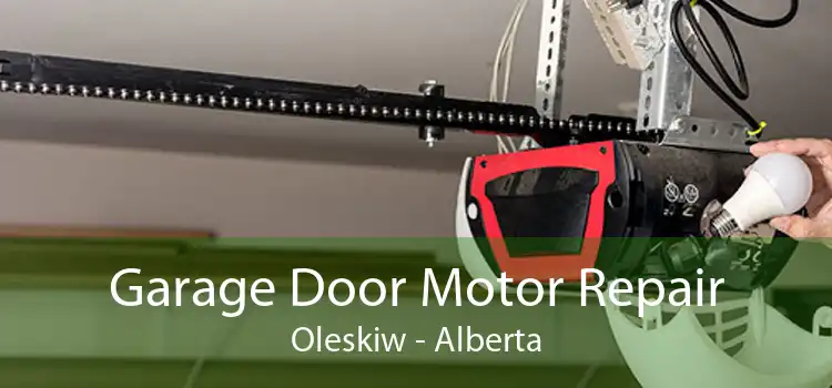 Garage Door Motor Repair Oleskiw - Alberta