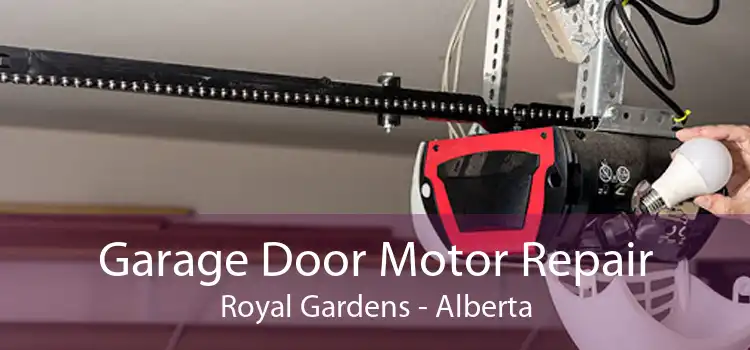 Garage Door Motor Repair Royal Gardens - Alberta