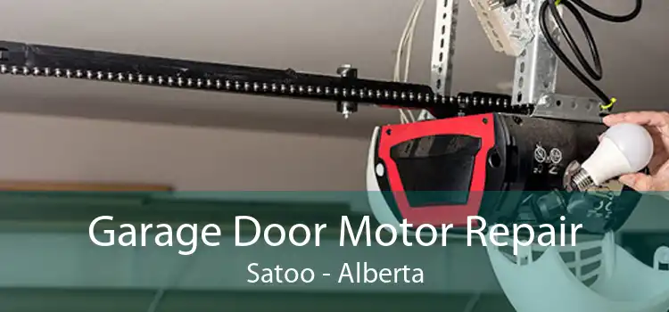 Garage Door Motor Repair Satoo - Alberta