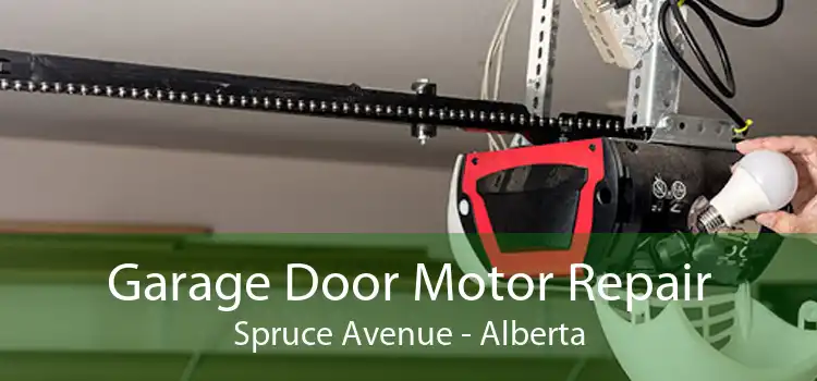 Garage Door Motor Repair Spruce Avenue - Alberta