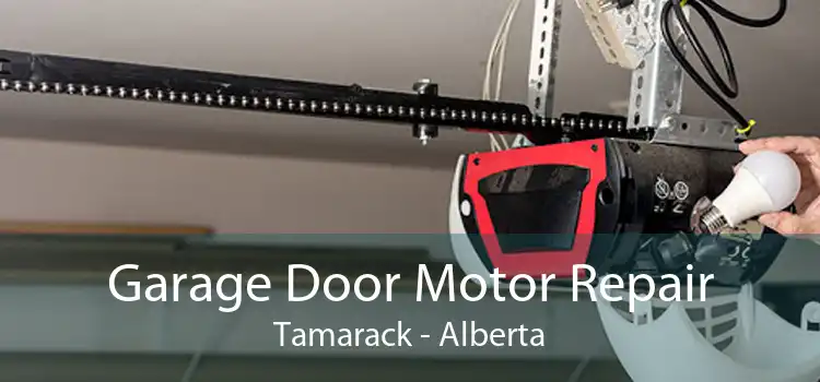 Garage Door Motor Repair Tamarack - Alberta