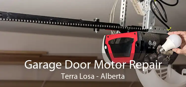 Garage Door Motor Repair Terra Losa - Alberta