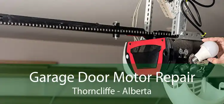 Garage Door Motor Repair Thorncliffe - Alberta