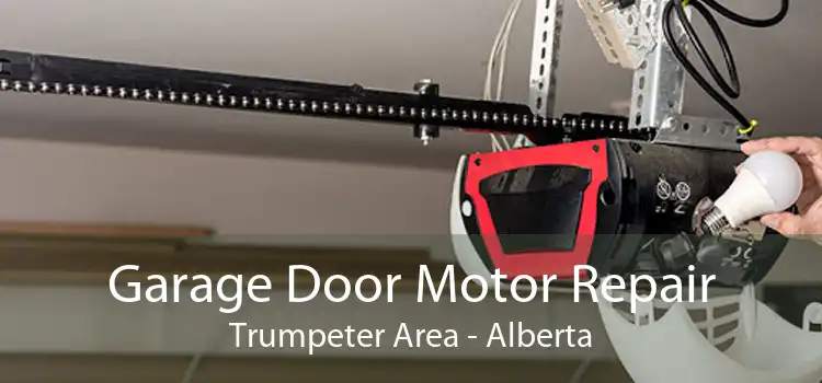 Garage Door Motor Repair Trumpeter Area - Alberta