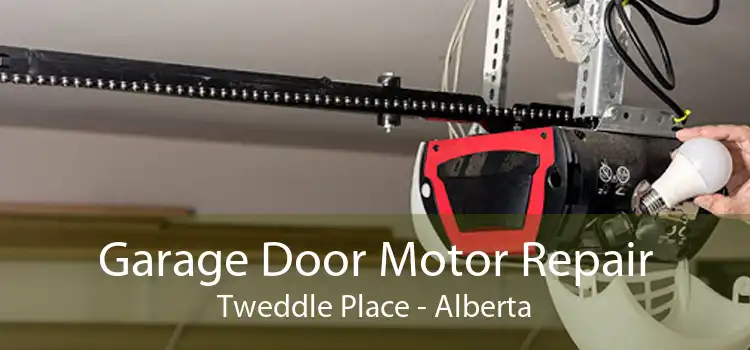Garage Door Motor Repair Tweddle Place - Alberta