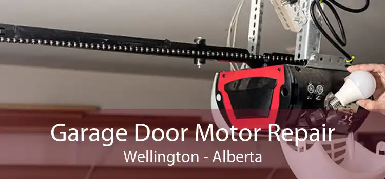 Garage Door Motor Repair Wellington - Alberta