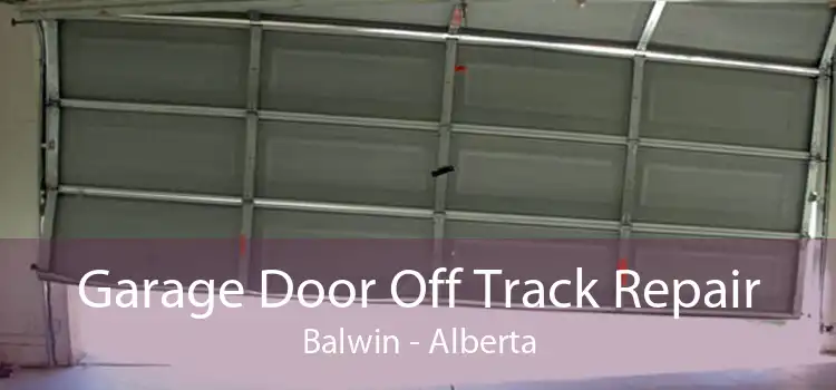 Garage Door Off Track Repair Balwin - Alberta