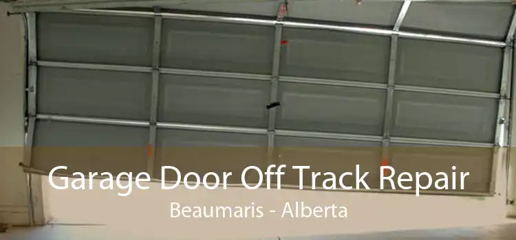 Garage Door Off Track Repair Beaumaris - Alberta