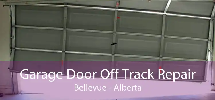 Garage Door Off Track Repair Bellevue - Alberta