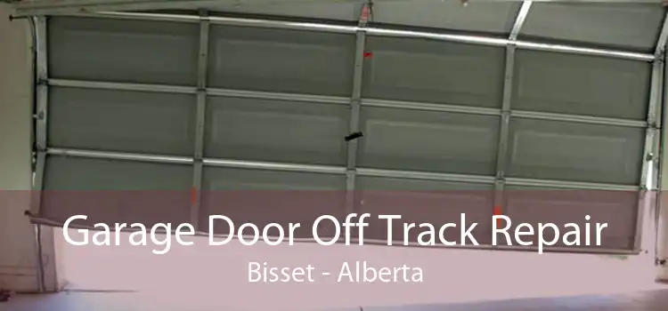 Garage Door Off Track Repair Bisset - Alberta