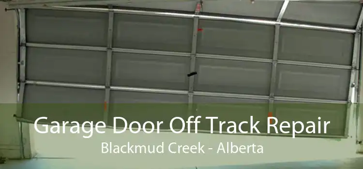 Garage Door Off Track Repair Blackmud Creek - Alberta
