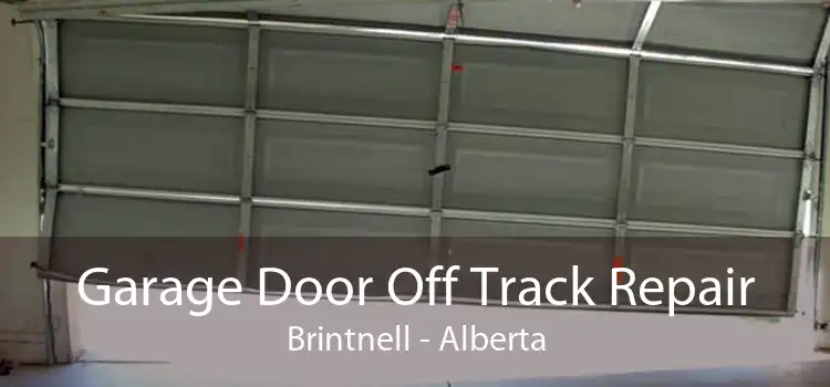Garage Door Off Track Repair Brintnell - Alberta