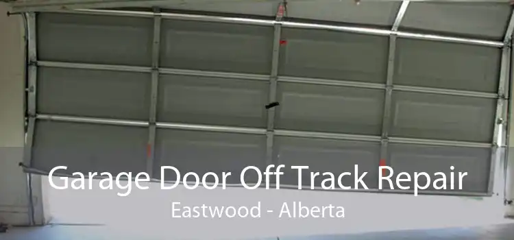 Garage Door Off Track Repair Eastwood - Alberta