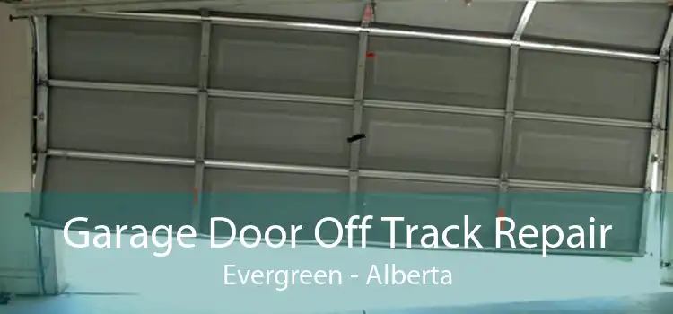 Garage Door Off Track Repair Evergreen - Alberta