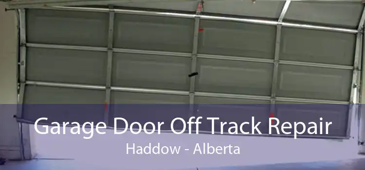 Garage Door Off Track Repair Haddow - Alberta