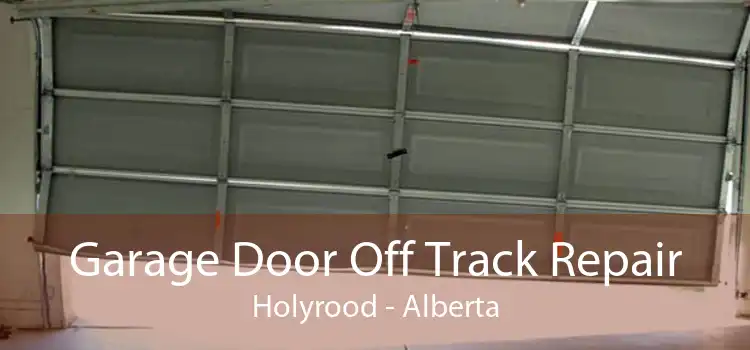 Garage Door Off Track Repair Holyrood - Alberta