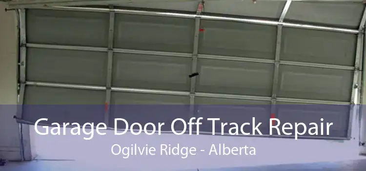 Garage Door Off Track Repair Ogilvie Ridge - Alberta