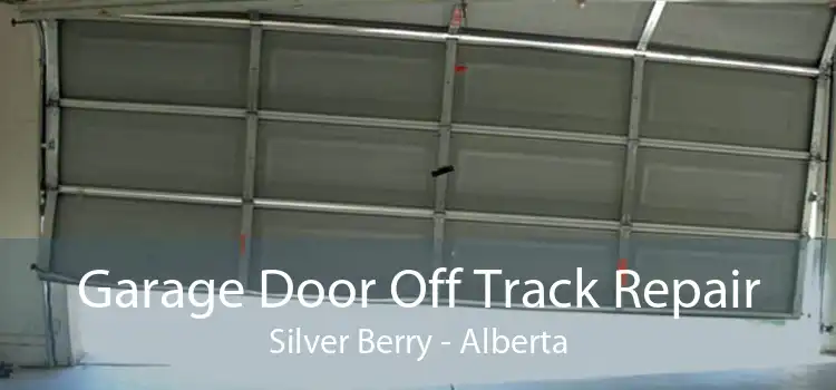 Garage Door Off Track Repair Silver Berry - Alberta