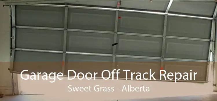 Garage Door Off Track Repair Sweet Grass - Alberta