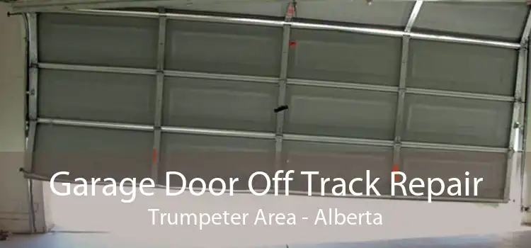 Garage Door Off Track Repair Trumpeter Area - Alberta