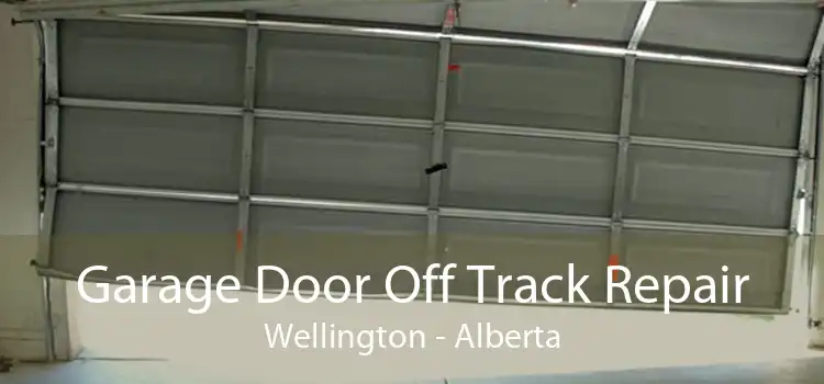 Garage Door Off Track Repair Wellington - Alberta