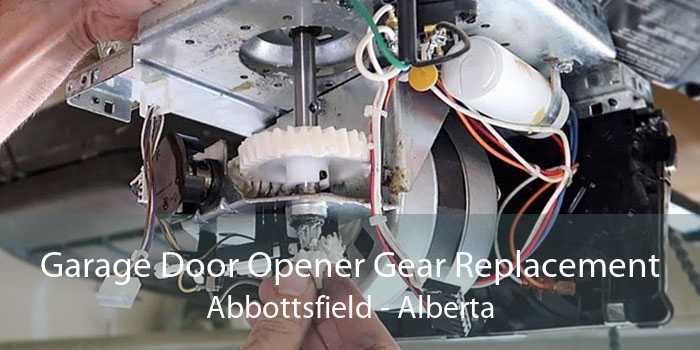 Garage Door Opener Gear Replacement Abbottsfield - Alberta