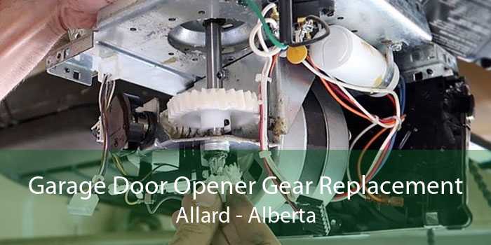 Garage Door Opener Gear Replacement Allard - Alberta
