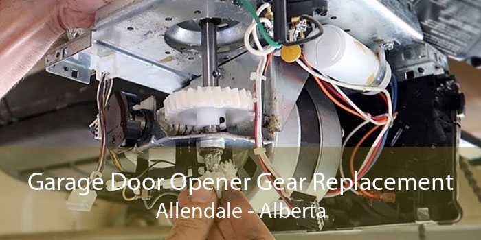 Garage Door Opener Gear Replacement Allendale - Alberta