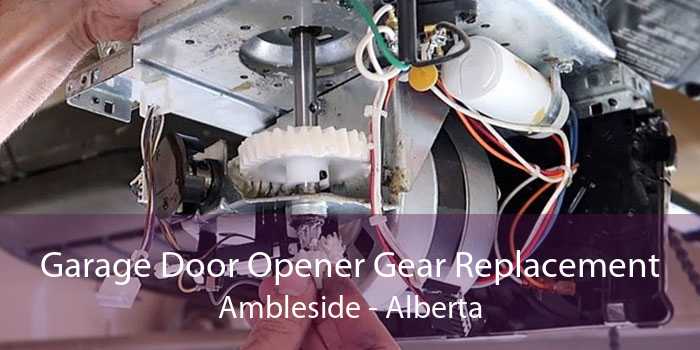 Garage Door Opener Gear Replacement Ambleside - Alberta