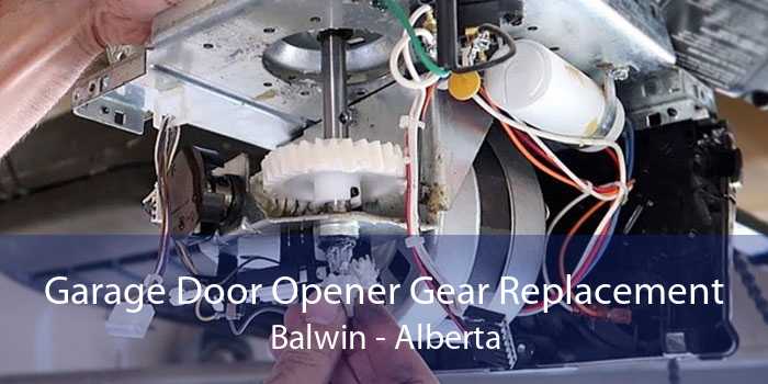 Garage Door Opener Gear Replacement Balwin - Alberta