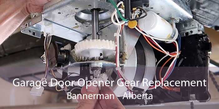 Garage Door Opener Gear Replacement Bannerman - Alberta