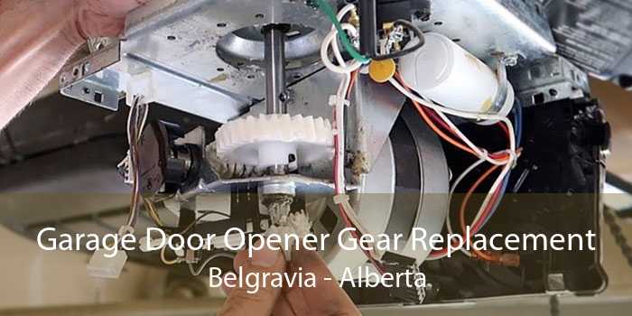Garage Door Opener Gear Replacement Belgravia - Alberta