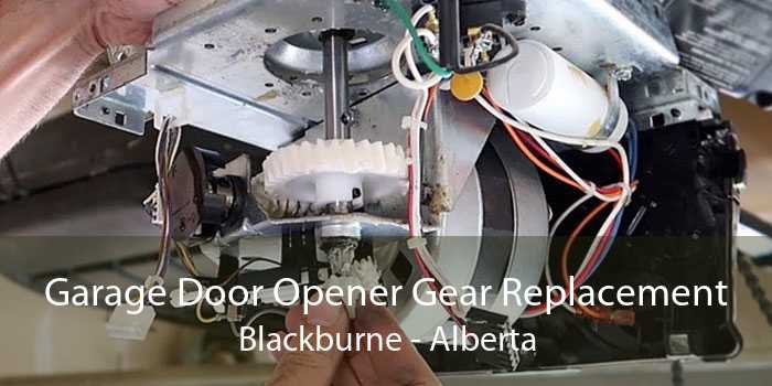 Garage Door Opener Gear Replacement Blackburne - Alberta